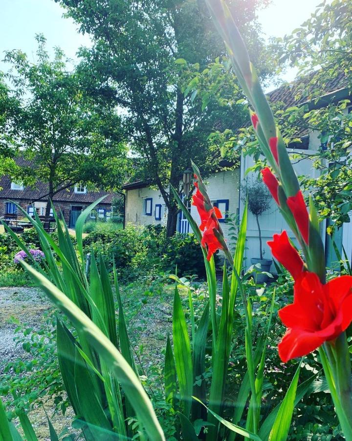 דיינזה Hamiora Wellness B&B מראה חיצוני תמונה