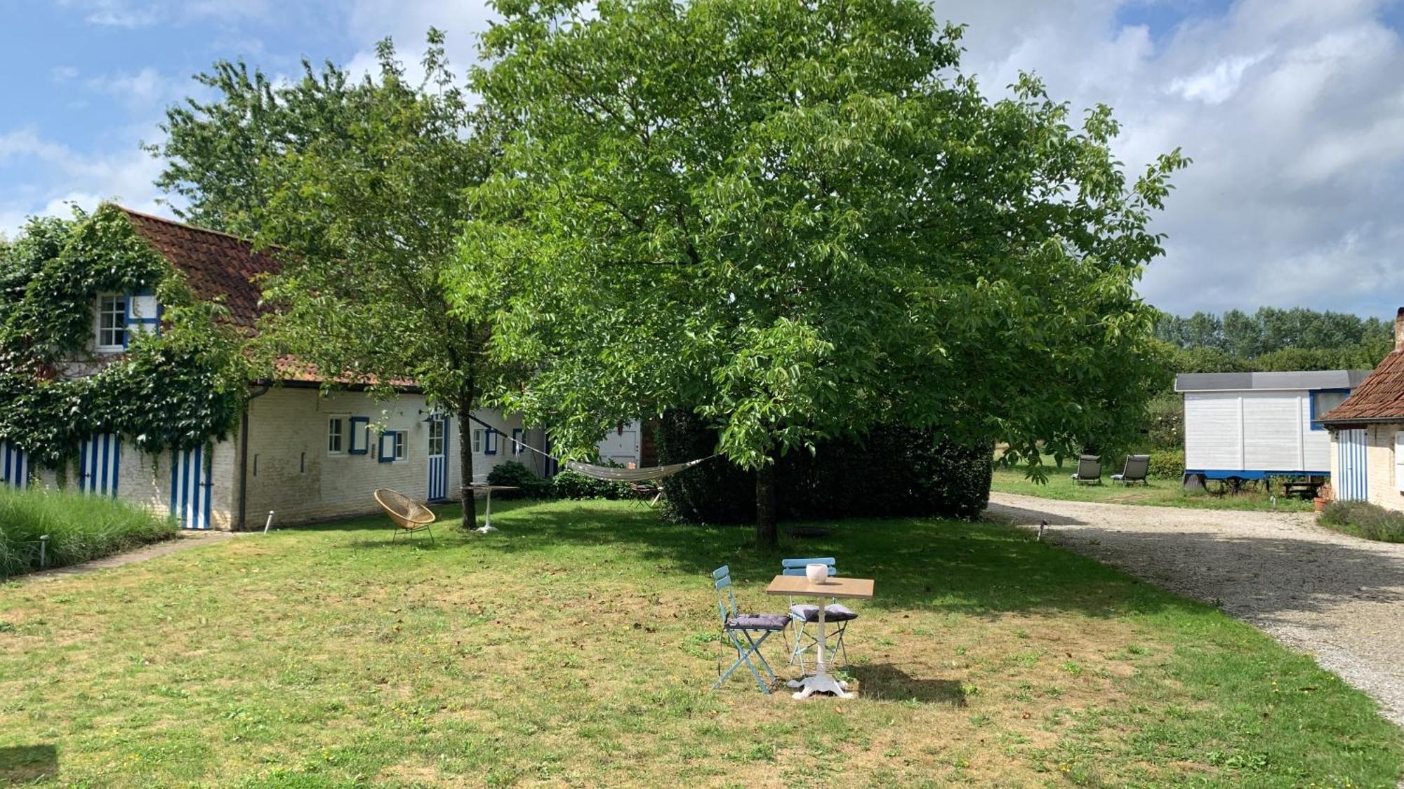 דיינזה Hamiora Wellness B&B מראה חיצוני תמונה