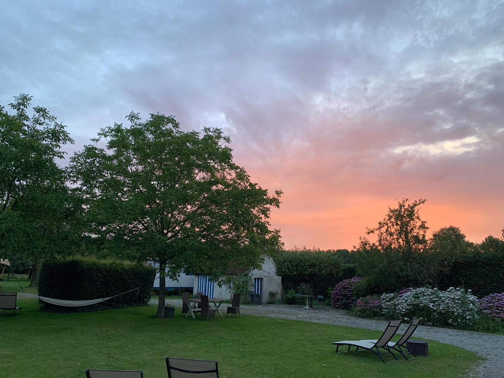 דיינזה Hamiora Wellness B&B מראה חיצוני תמונה